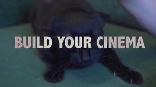 What's Happening with Star and Shadow Music Season?