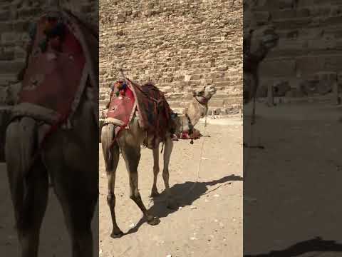 Kairo - Giza - Piramide - Egipat