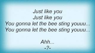 Spacehog - Let The Bee Sting You Lyrics