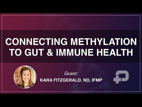 Connecting Methylation to Gut & Immune Health