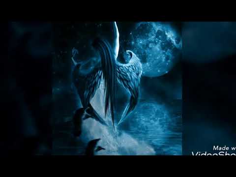 O Coração Das Mães - Cancioneiro da Lua Cheia