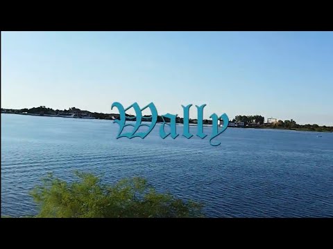 Wally - El ocaso sin fin