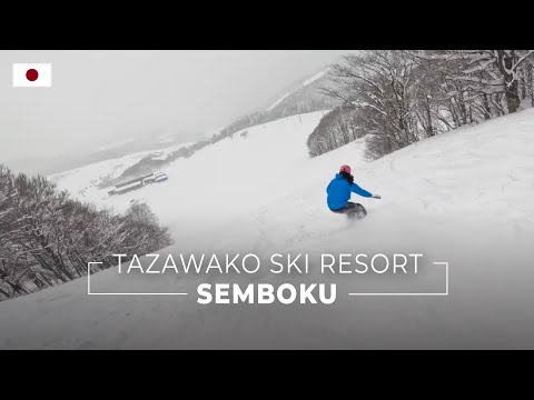 Tazawako Ski Resort Semboku Snowboard Vlog #indypass [2024-01-15][4K]