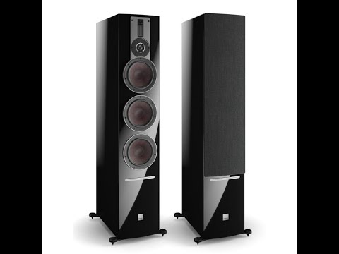 Dali Rubicon 8 C Unboxing