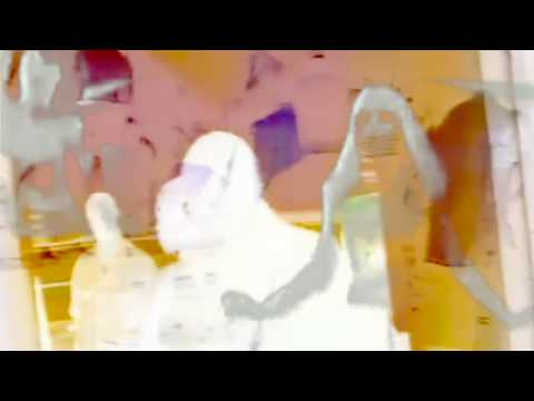 Benzos In Exile // Quarantine-Age Wildlife (A Corona Protest Song) Covid-19 Covid