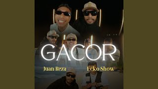 Lirik Lagu Gacor - Juan Reza & Ecko Show: Wong Timur Kalo Soal Pesta, Su Pasti Sampe Pagi