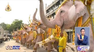 ขบวนช้างเทิดพระเกียรติ เนื่องในพระราชพิธีบรมราชาภิเษก