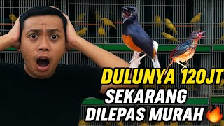 Download lagu HOW CAN A 120 MILLION MURAI BE PRICED THAT MUCH NOW? STOCK PROSPECTS ARE OUT OF STOCK🔥 mp3 Download lagu HOW CAN A 120 MILLION MURAI BE PRICED THAT MUCH NOW? STOCK PROSPECTS ARE OUT OF STOCK🔥 mp3