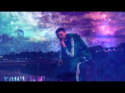 Noisydog   Belia Netylesiu