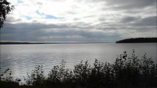 Mexican Home  John Prine