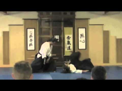 ASAAloiaSenseiDemo2011.mov