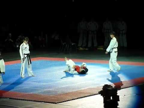 North Korea demo team - Estonia 2011(self defense )