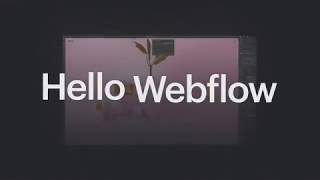 Webflow video