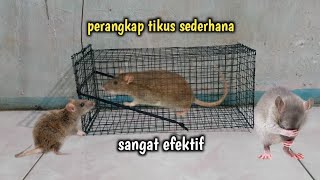 Download lagu MEMBUAT PERANGKAP TIKUS SEDERHANA SANGAT EFEKTIF mp3