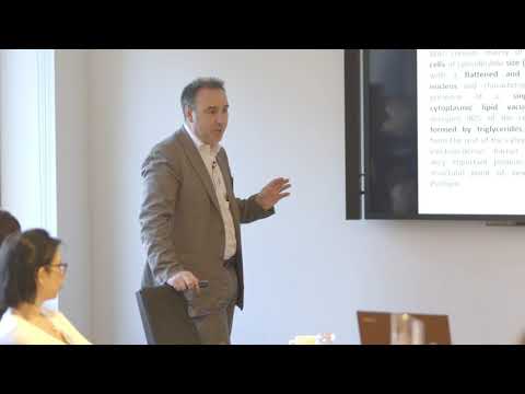 ONDA Coolwaves Workshop Professor Nicola Zerbinati