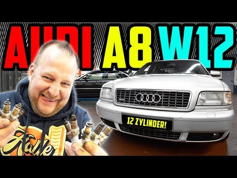 Marco SCHRAUBT! - Audi A8 6.0 W12 - Inspektion am 12 Zylinder!