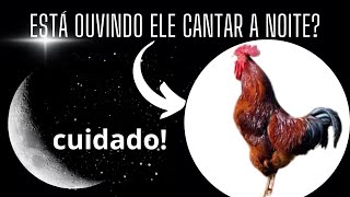 O Que Fazer Quando O Galo Canta Fora De Hora
