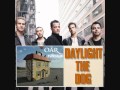 OAR - Daylight the Dog