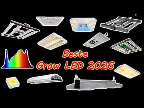 Die beste Grow LED 2026 | Vergleich, Chips, Test | Beste Low Budget Grow LED