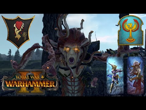 The FULL FEMALE Fighting Force! Dark Elves Vs Tomb Kings. Total War Warhammer 2, Multiplayer