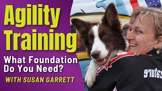 Agility Training: What Foundation Do You and Your Dog Need?