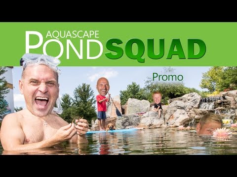 Aquascape Pond Squad - Series PROMO