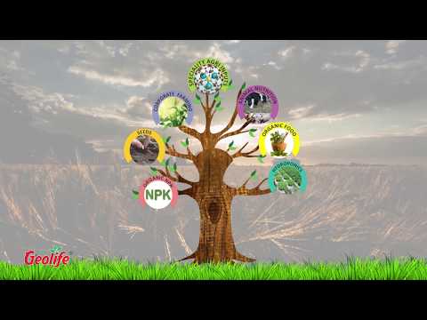 Video Section Image