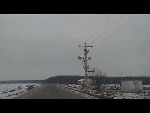 belfir calacea bihor(3)