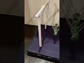 How to make Newton cradle pendulum ball #newton #pendulum #physics #ball#3dmodel #scienceproject#diy