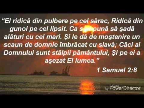 Cinste, onoare- Grupul Eliezer Torino