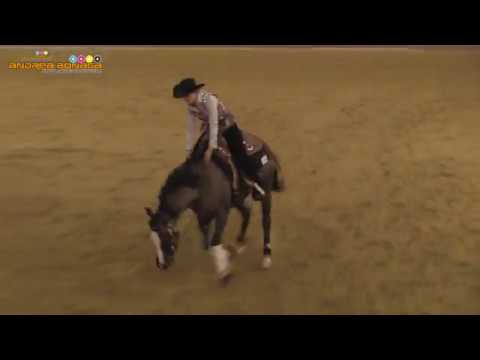 BELGIUM FUTURITY 2016  GINA MARIA SCHUMACHER MS BLUE EYE WIMP BB