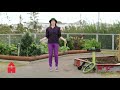 Circus Skipping RTÉ After School Hub