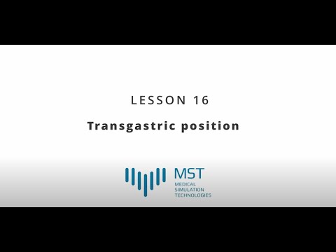 MST Masterclass - Lesson 16 - Transgastric position