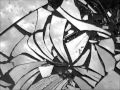 Rise against - Broken Mirrors (lyrics)