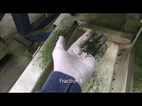 Parsley processing movie HD