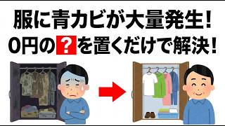 【節約術】クローゼットの青カビに❓するだけ！0円で服が10年長持ち