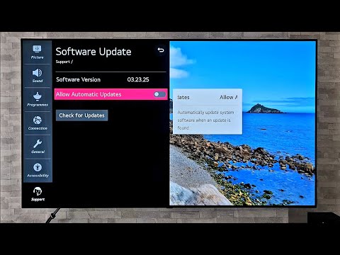 LG CX/GX update 03.23.25 is this the one?