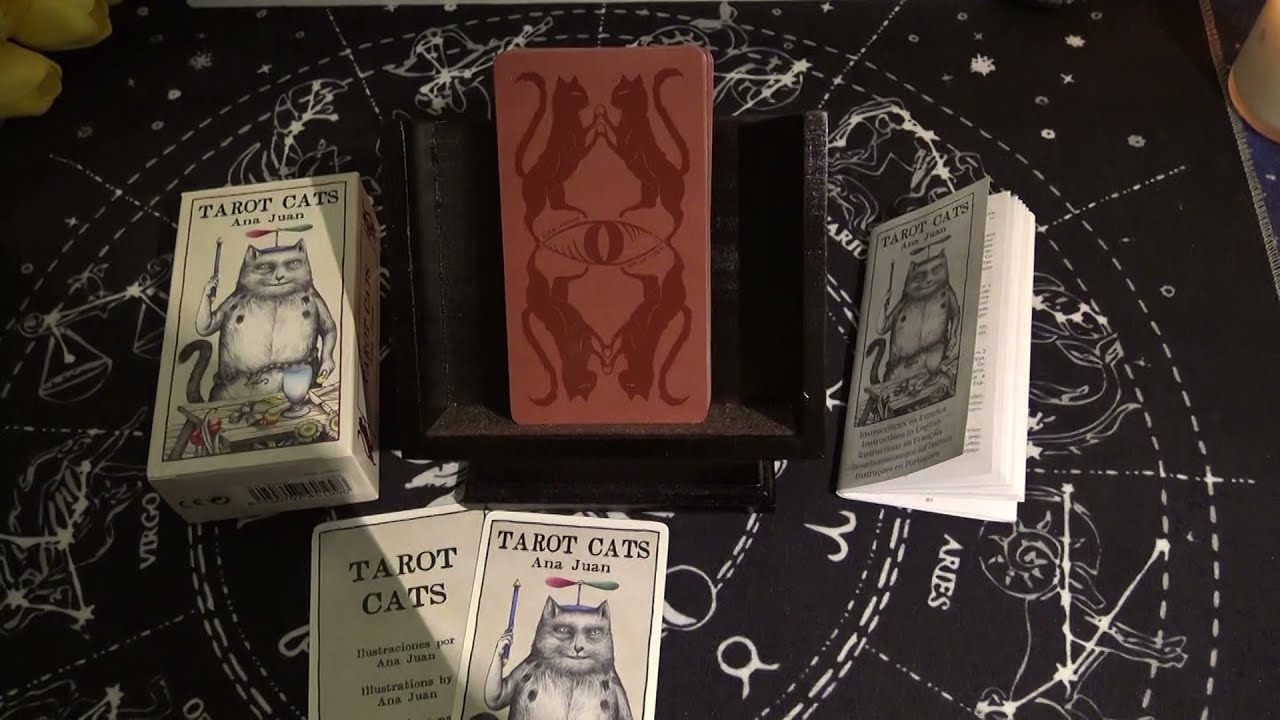 Tarot Cats | Full Flip Through of Each Card