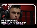 Best Bits So Far! F1 Esports Pro Series 2019