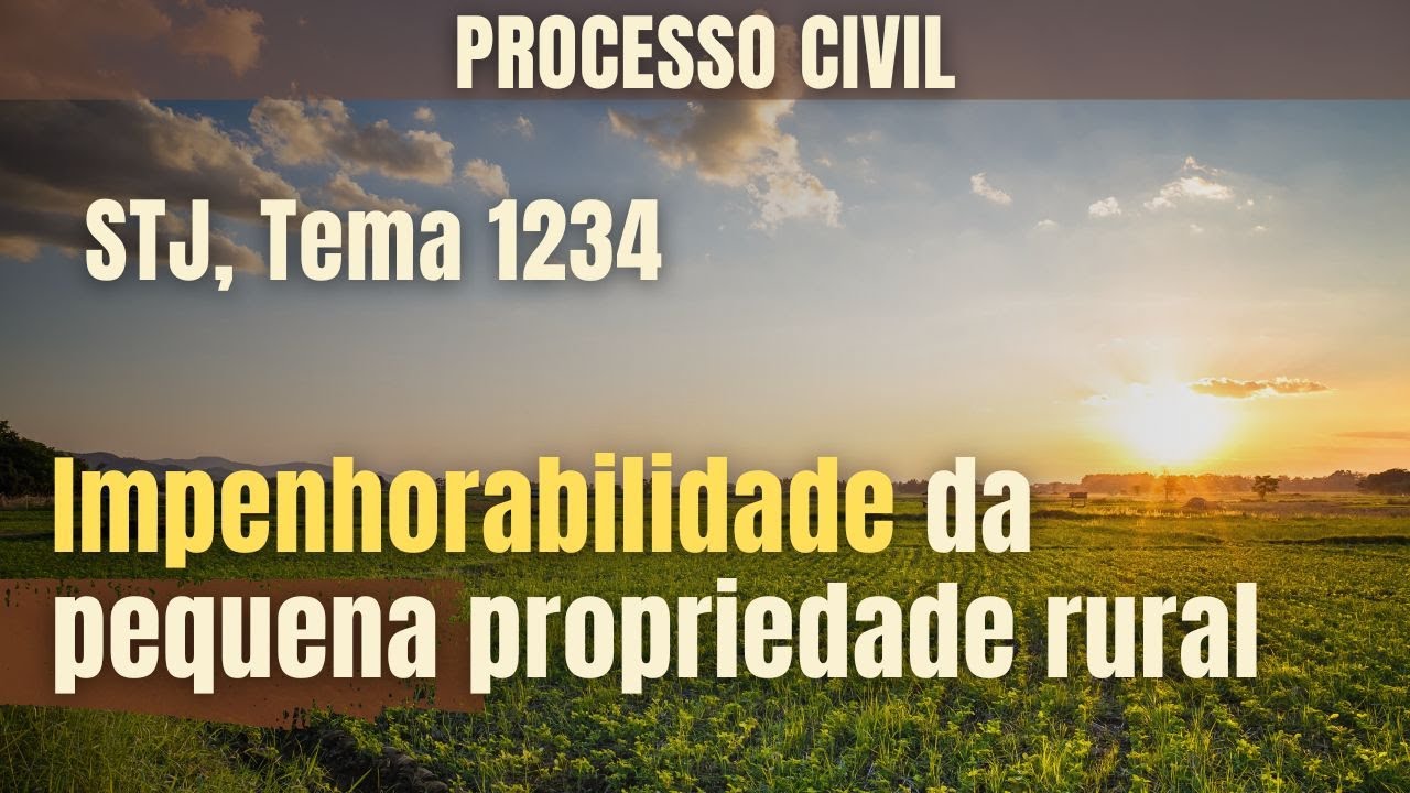 Impenhorabilidade da pequena propriedade rural.  STJ, Tema 1234