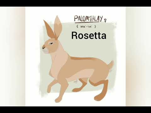 watership down the next generation