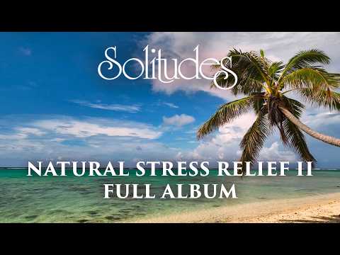 1 hour of Relaxing Music: Dan Gibson’s Solitudes - Natural Stress Relief II (Full Album)