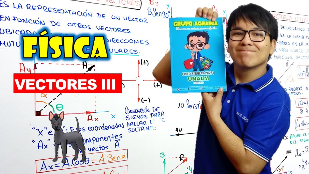 [ FREE PHYSICS ] VECTORS III - Rectangular decomposition and unit vectors
