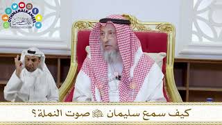 1070 - كيف سمع سليمان عليه السلام صوت النملة؟ - عثمان الخميس