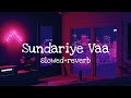 Sundariye Vaa Slowed Reverb