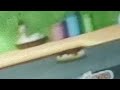 WordWorld New Episodes Promo 2008