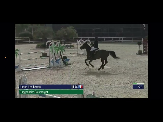 Magnifique entier de 10 ans - CSO 135/140