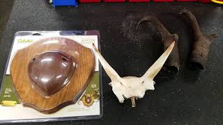 Easiest Way to Mount Horns