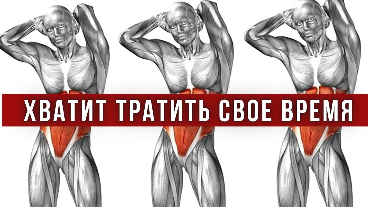 Мышцы пресса. Это Видео сэкономит годы тренировок