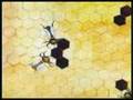 Honeycomb Design